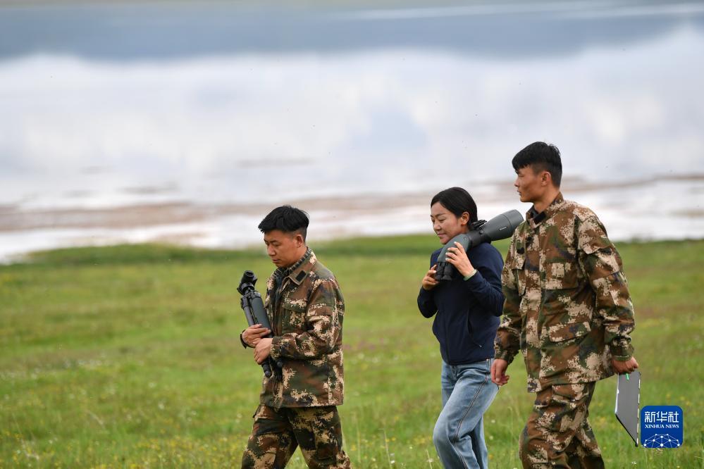 新启旺永久网址